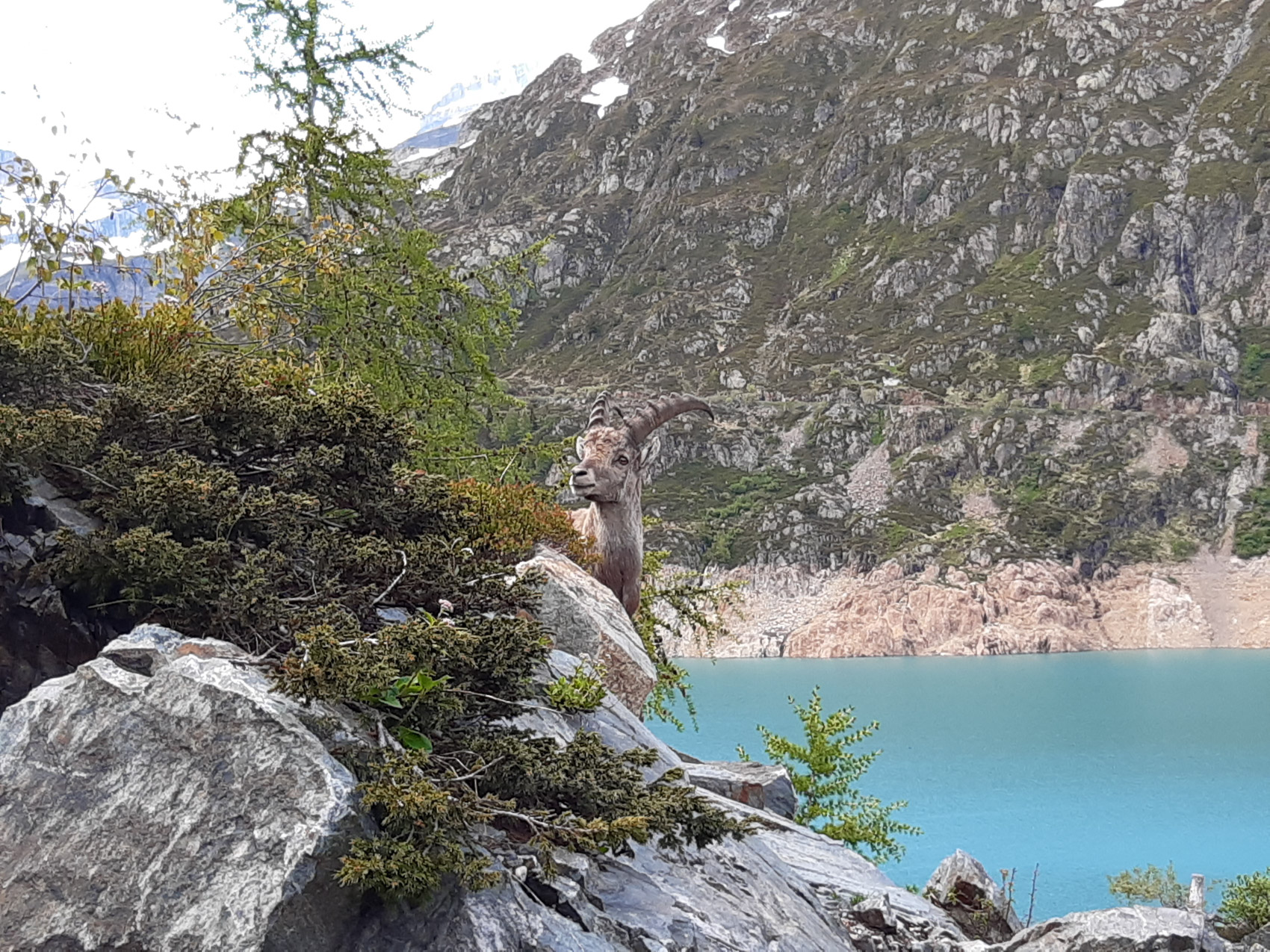 Atout Energie img nature 48