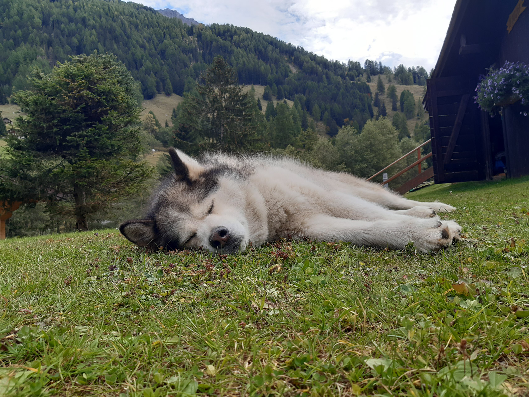 Atout Energie img nature 51