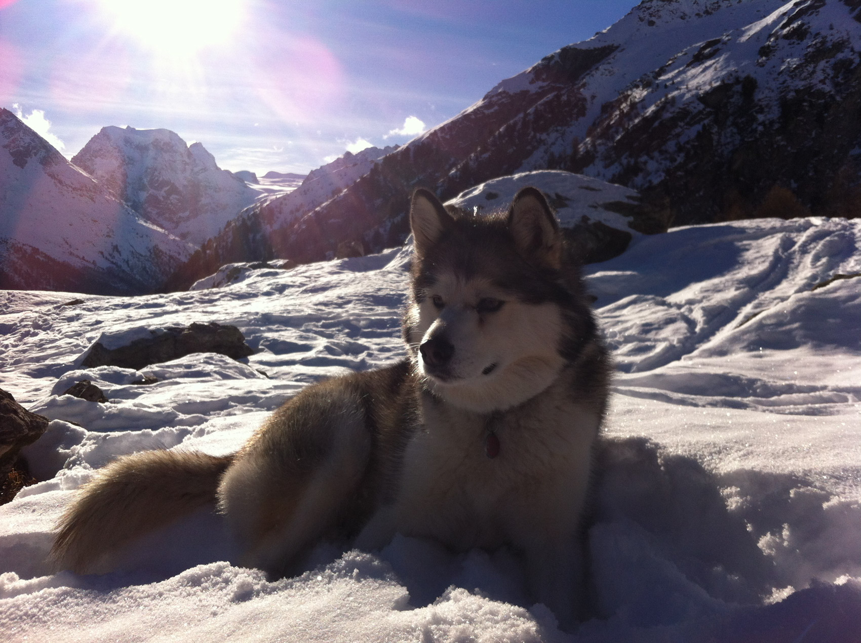 Atout Energie img nature 55